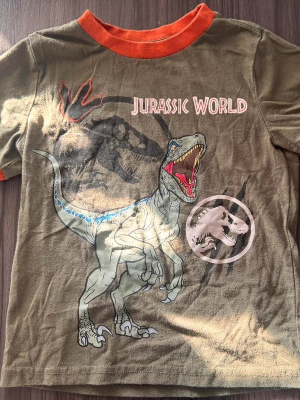 Jurassic World Boy Tshirt 5